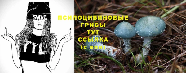 бошки Абаза